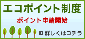 �O���[���Ɠd�G�R�|�C���g������ �C���^�[�l�b�g�\���K�C�h