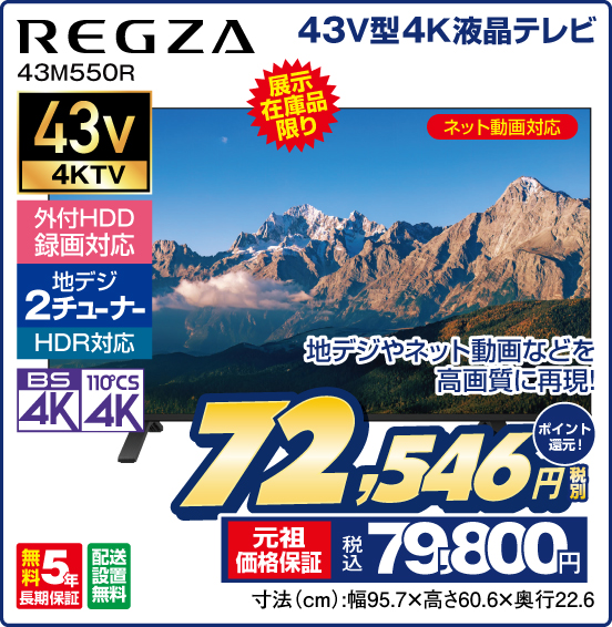 43V型4K液晶テレビ REGZA 43M550R 展示在庫限り ネット動画対応 地デジやネット動画などを高画質に再現！ 税別72,546円 元祖価格保証 税込79,800円 ポイント還元！