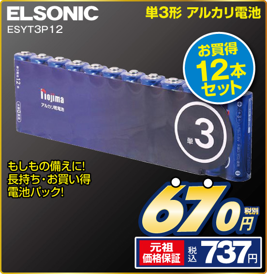 単3形 アルカリ電池 ELSONIC ESYT3P12 もしもの備えに！ 長持ち・お買い得電池パック！ お買得12本セット 税別670円 元祖価格保証 税込737円