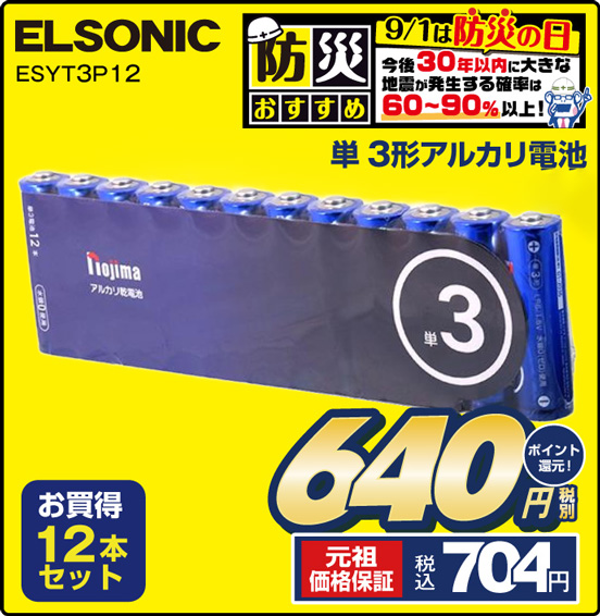 単3形アルカリ電池 ELSONIC ESYT3P12 お買得12本セット 3枚刃 充電式 税別640円 元祖価格保証 税込704円 ポイント還元！
