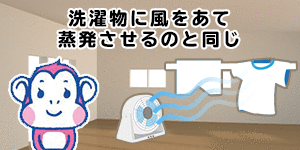 画像の説明