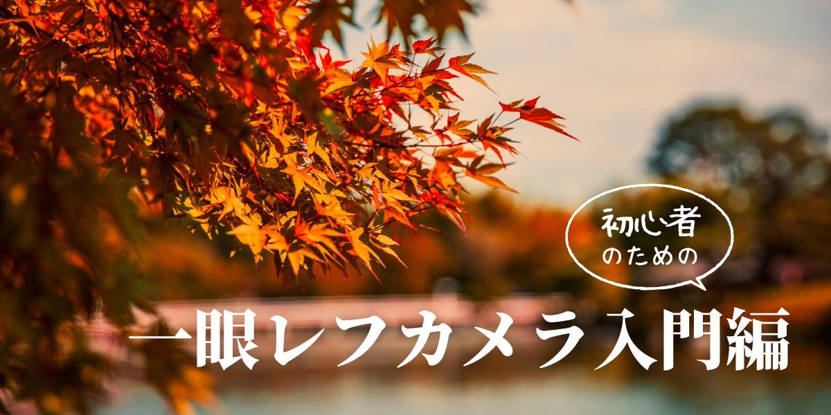 紅葉もきれいに撮れる！ 一眼レフカメラ初心者のための入門編