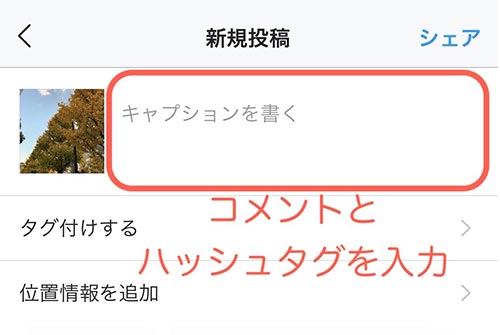 投稿する画像に対してのコメントとハッシュタグを入力