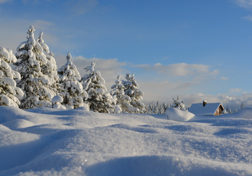 使用可能な気温に注意(一面の雪景色)