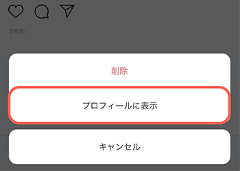 「プロフィールに表示」をタップ