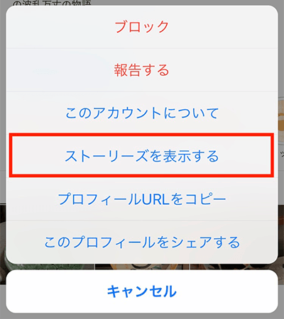 ストーリーズを表示する