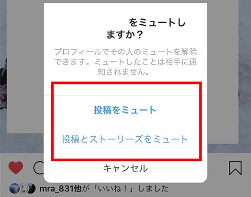 「投稿のみミュート」、「投稿とストーリーをミュート」をどちらか選んで選択