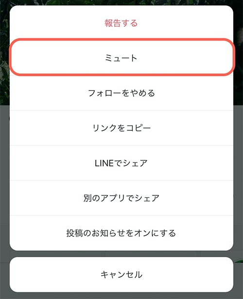 インスタ ストーリー 表示 されない