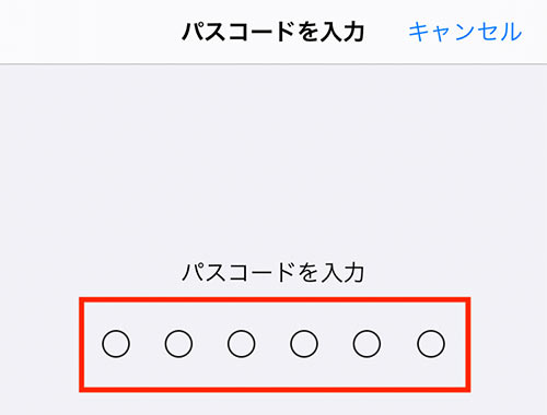 パスコードを入力する部分