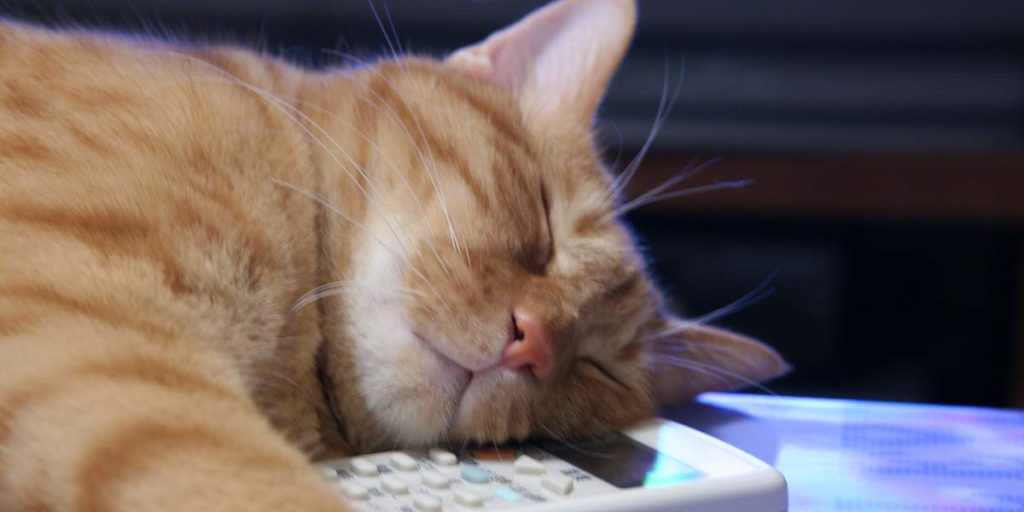 【2021年版】エアコンのおすすめ10選、人気メーカーの特徴や6畳 ...