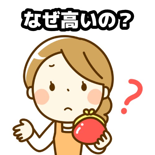 Auひかりの料金は高い 年版 料金確認やプラン 内訳 見直しも解説 家電小ネタ帳 株式会社ノジマ サポートサイト