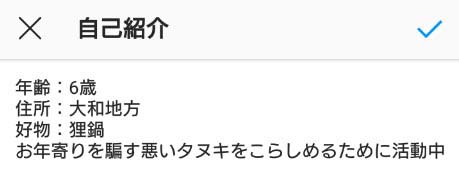 インスタグラムのプロフィール紹介文の例