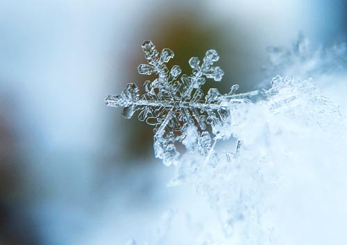 雪の結晶の写真