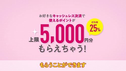 マイナポイントは上限5,000円分・付与率25％