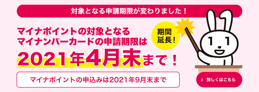 ãƒžã‚¤ãƒŠãƒã‚¤ãƒ³ãƒˆã¯ã„ã¤ã¾ã§ ã©ã