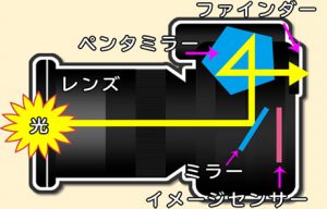 【2020年版】一眼レフカメラのおすすめ7選！初心者向けの入門 ...