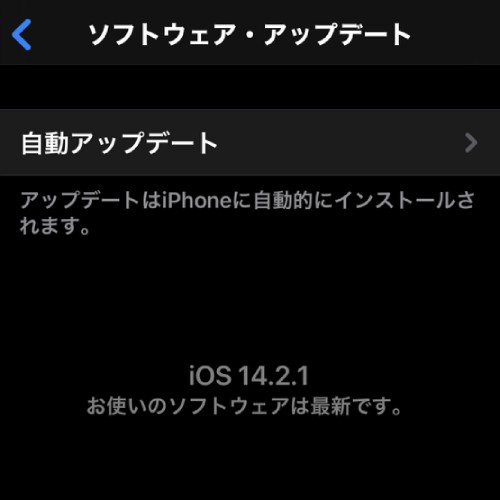 Iphone Ios14アップデートは要注意 過去の不具合やosの確認方法など紹介 家電小ネタ帳 株式会社ノジマ サポートサイト