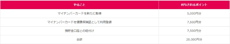 マイナポイント2万内訳表RSS用