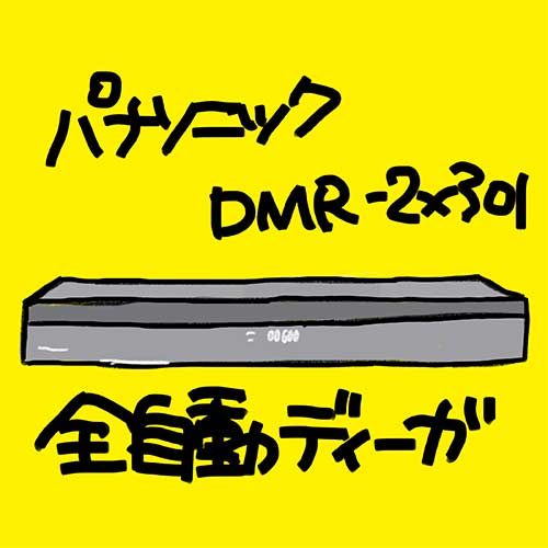 DMR-2X301 4549980487433