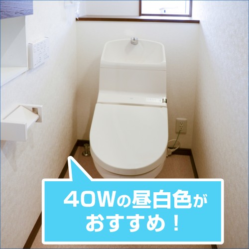 トイレの電球のおすすめ