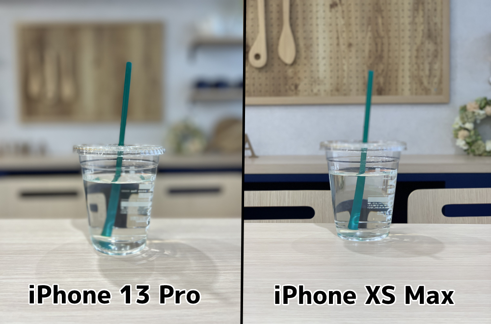 iPhone 13 ProとiPhone XS Maxのポートレートモードを比較