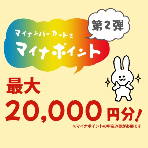 マイナポイントが最大2万円分付与される？