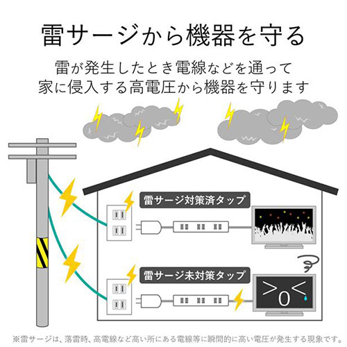 電源タップ「雷ガードタイプ」