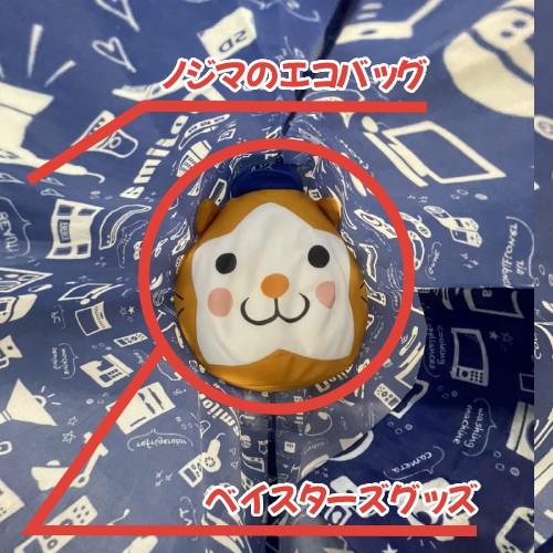 横浜スタジアムで撮影できない人