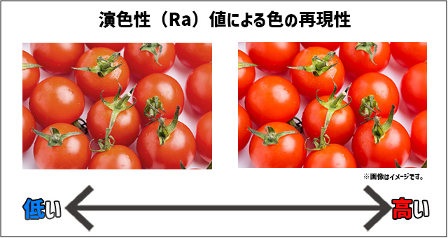 選び方5．演色性