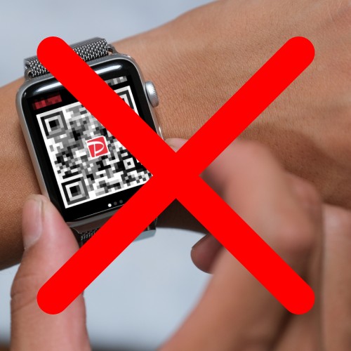 Suica以外の電子マネーやPayPayなどは利用できない