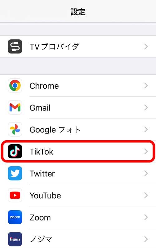 設定画面のTikTokをタップ