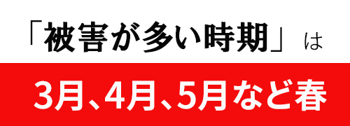 黄砂被害が多い時期は春