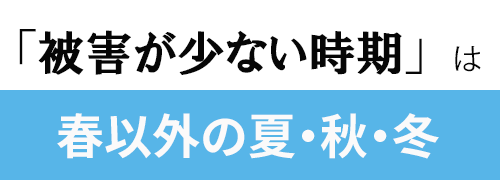 黄砂被害が少ない時期は春以外の夏秋冬