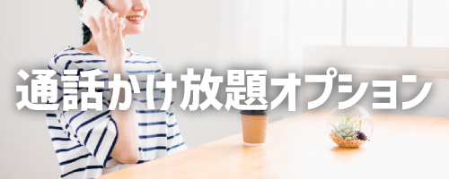 通話かけ放題オプション