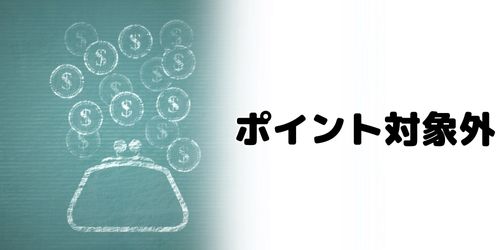 ポイントを利用した分はポイント対象外