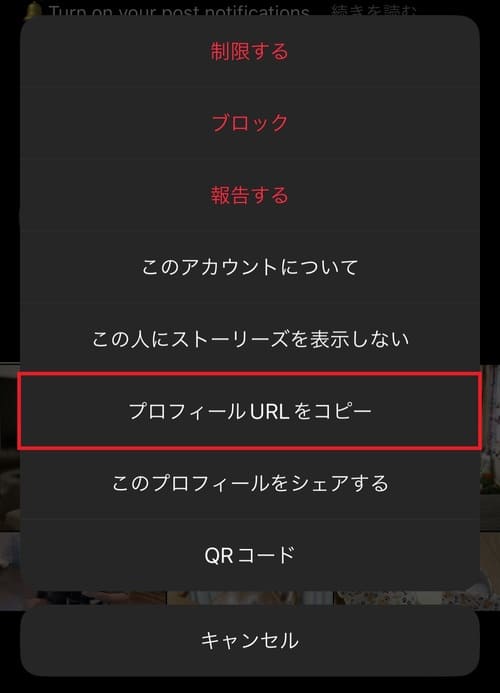 「プロフィールURLをコピー」をタップ