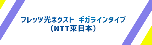 フレッツ光ネクスト ギガラインタイプ（NTT東日本）