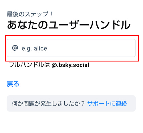 ユーザーハンドルを入力しましょう。