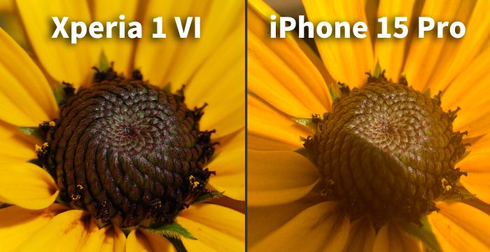 花をテレマクロ撮影をして、iPhone 15 Proのマクロ撮影した場合と比較