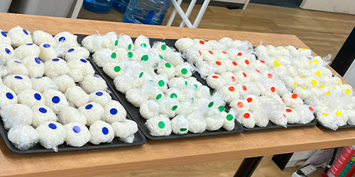 実際に食べくらべみました4