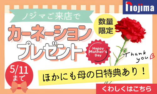 mother's-day-banner-500-300