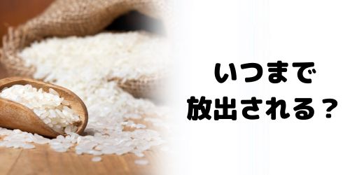備蓄米はいつまで放出される？