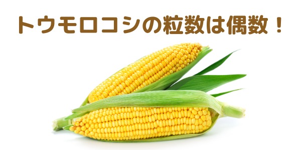 トウモロコシの粒の数は必ず偶数になる