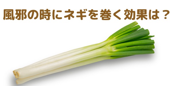 風邪を引いた時に首にネギを巻くのは効果がある？