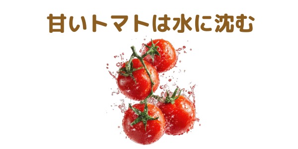 甘いトマトは水に沈む