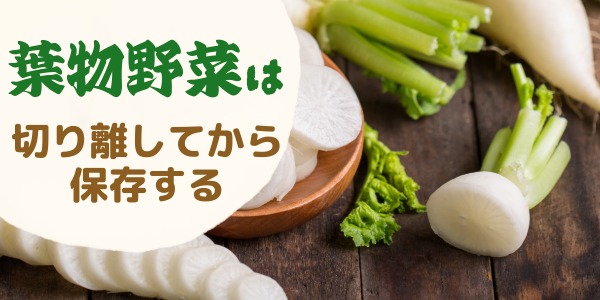 葉のある野菜は切り離してから保存する
