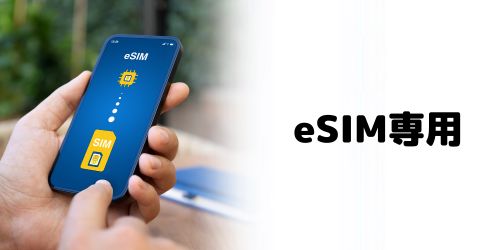 eSIMのみ対応（物理SIMスロット非搭載）