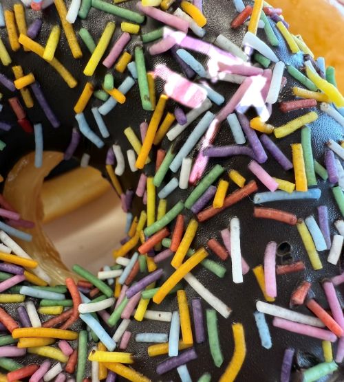 iPhoneの消しゴムマジック「クリーンアップ」のやり方！使えない場合や対応機種も徹底解説