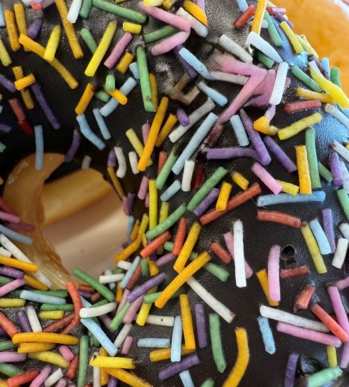 iPhoneの消しゴムマジック「クリーンアップ」のやり方！使えない場合や対応機種も徹底解説