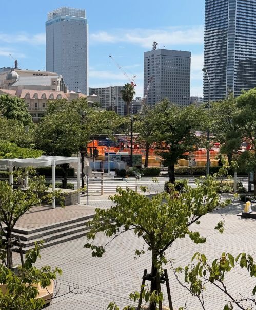 iPhoneの消しゴムマジック「クリーンアップ」のやり方！使えない場合や対応機種も徹底解説